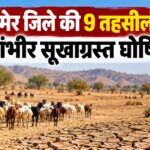 बाड़मेर सूखाग्रस्त तहसील और चारा डिपो 2026