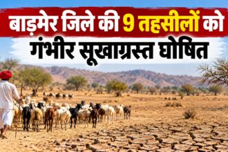 बाड़मेर सूखाग्रस्त तहसील और चारा डिपो 2026
