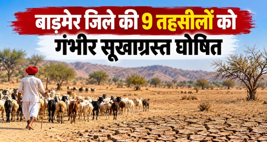बाड़मेर सूखाग्रस्त तहसील और चारा डिपो 2026